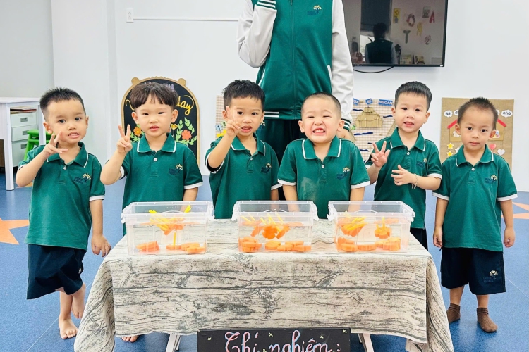 CÀ RỐT NHẢY MÚA TRONG NƯỚC