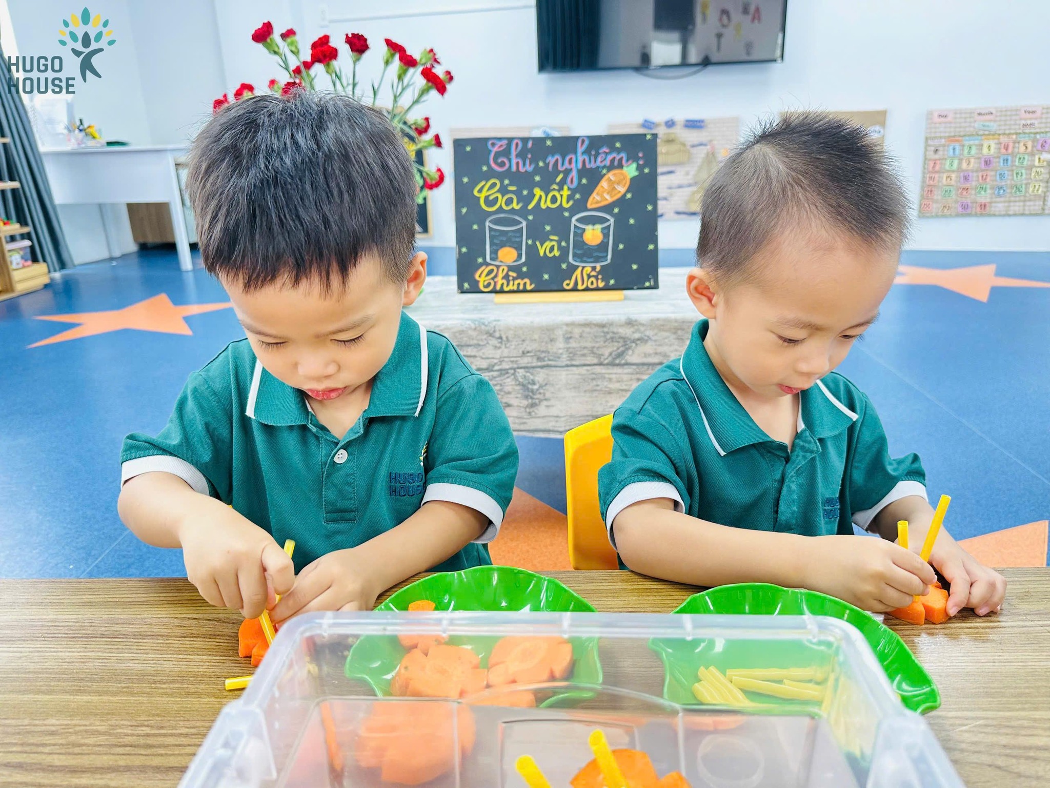 CÀ RỐT NHẢY MÚA TRONG NƯỚC