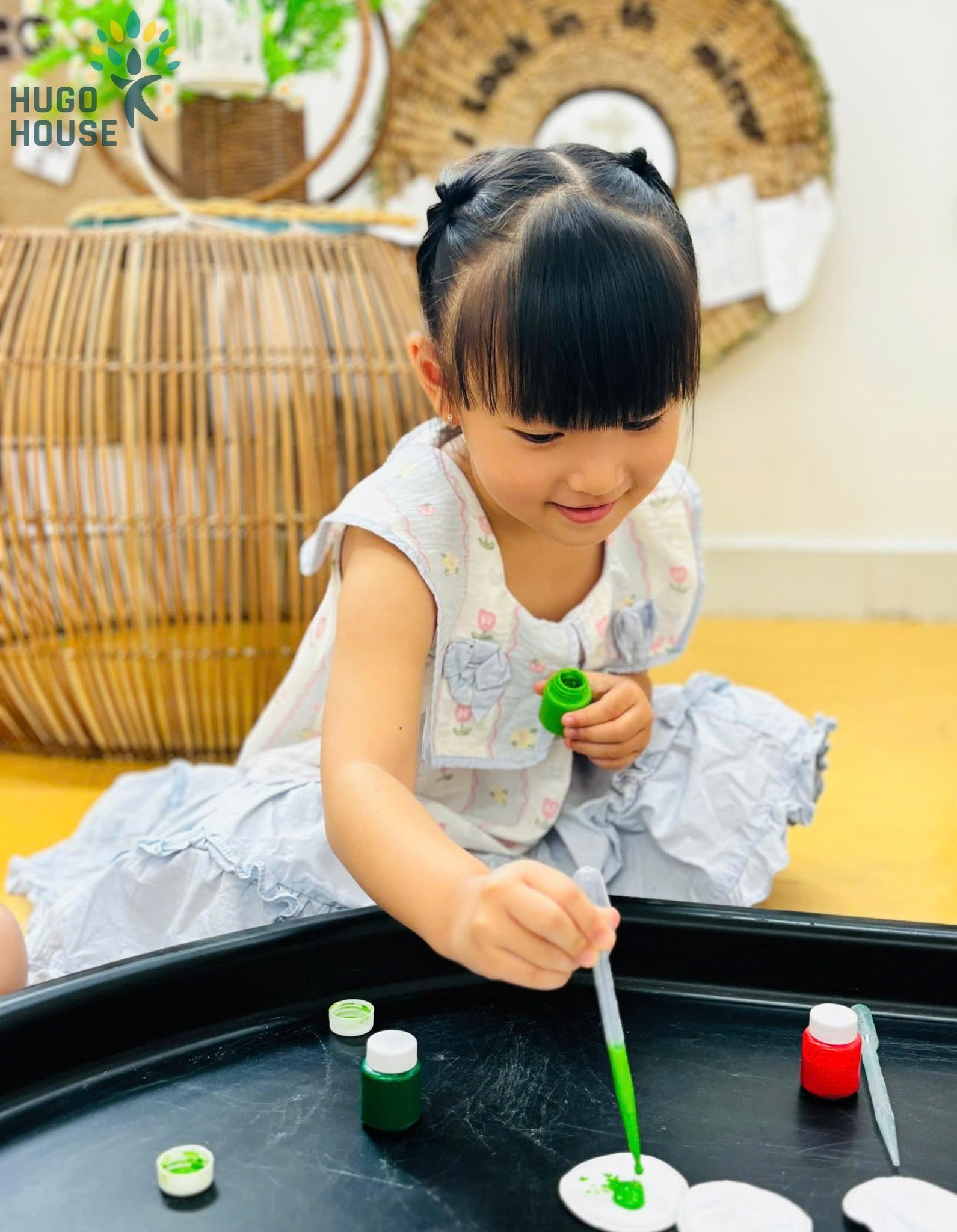 BÉ KHÁM PHÁ SẮC MÀU CỦA LÁ MÙA THU