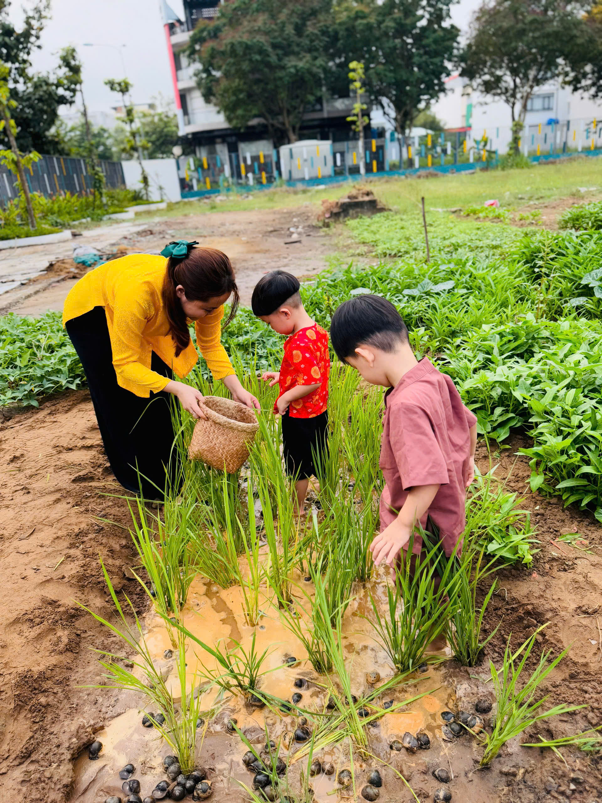 HOẠT ĐỘNG TRẢI NGHIỆM: BÉ LÀM NÔNG DÂN - HUGO HOUSE BẾN LỨC