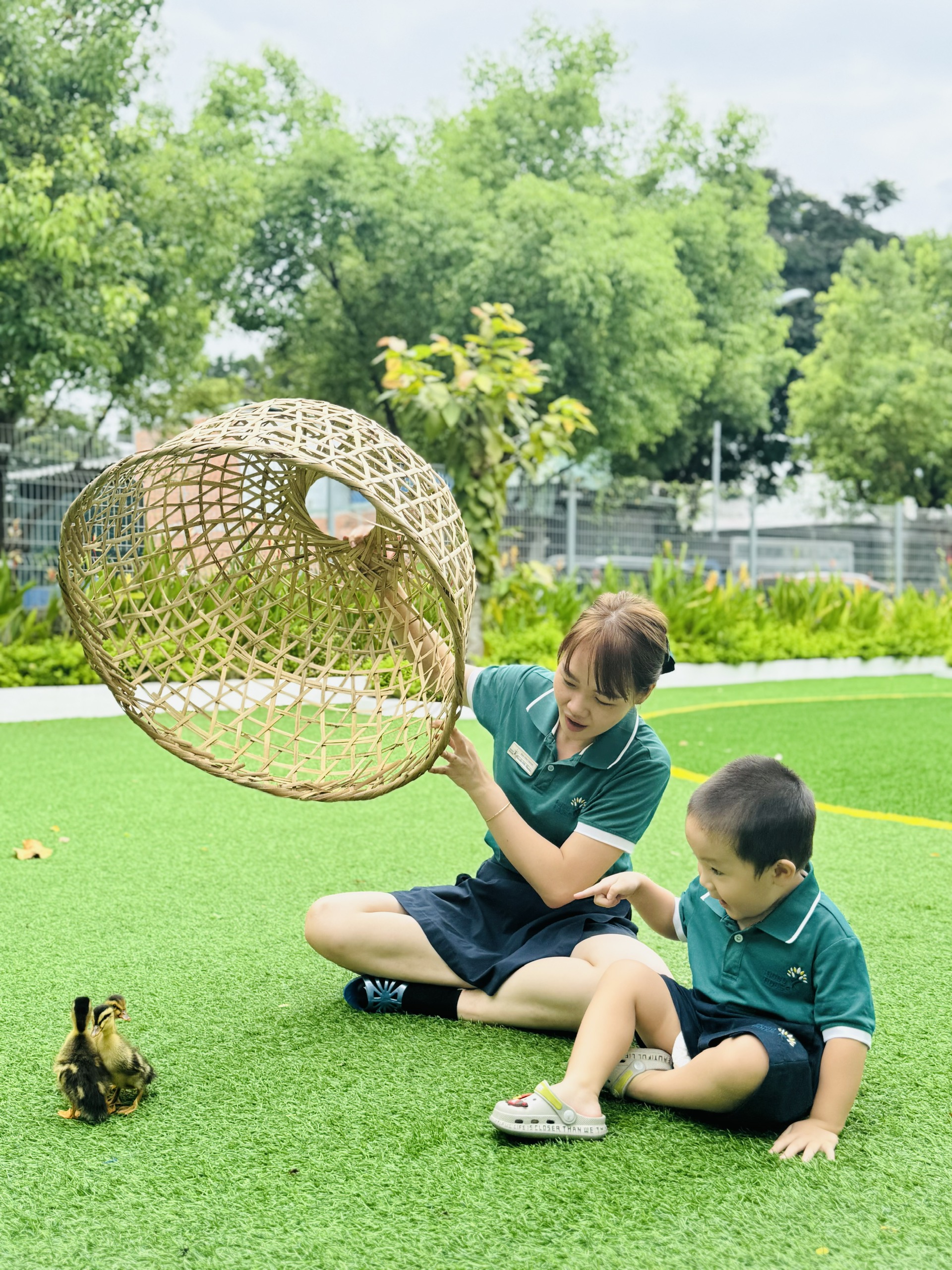 BÉ TÌM HIỂU & QUAN SÁT CHÚ VỊT CON – KHÁM PHÁ THẾ GIỚI TỰ NHIÊN