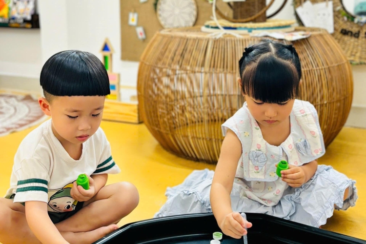 BÉ KHÁM PHÁ SẮC MÀU CỦA LÁ MÙA THU