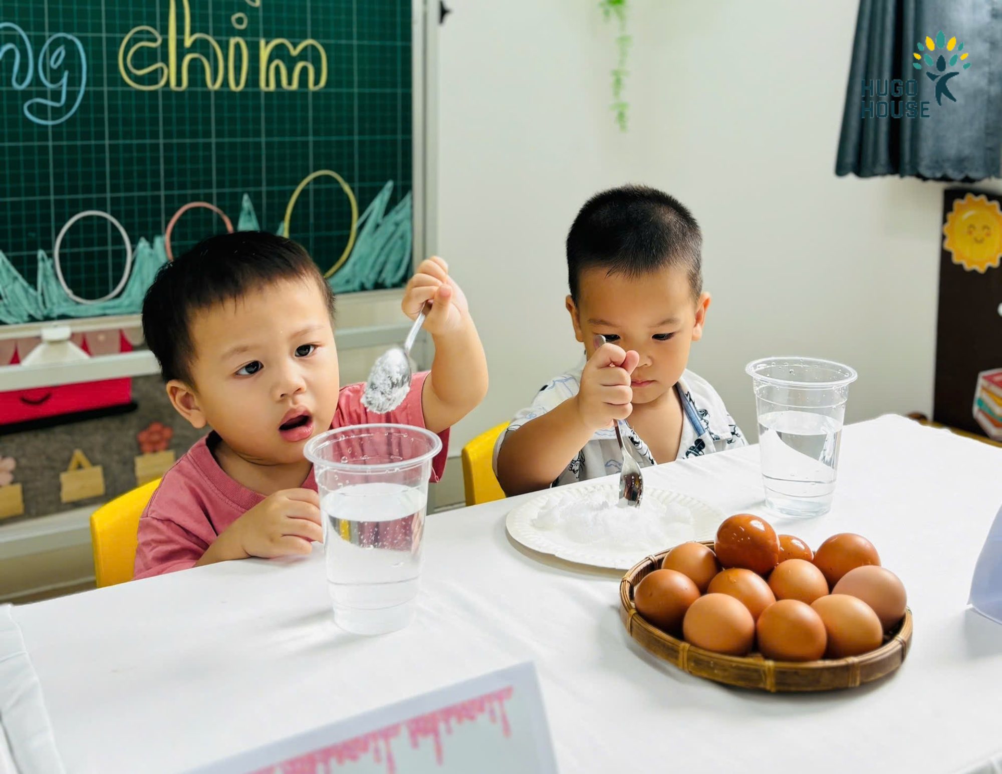 THÍ NGHIỆM VUI – TRỨNG CHÌM HAY TRỨNG NỔI?