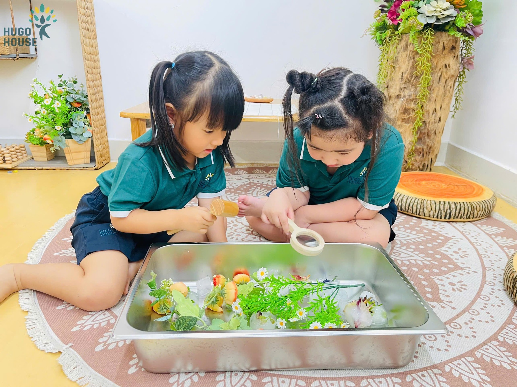 HOA TRONG BĂNG - THÍ NGHIỆM NHỎ NIỀM VUI LỚN