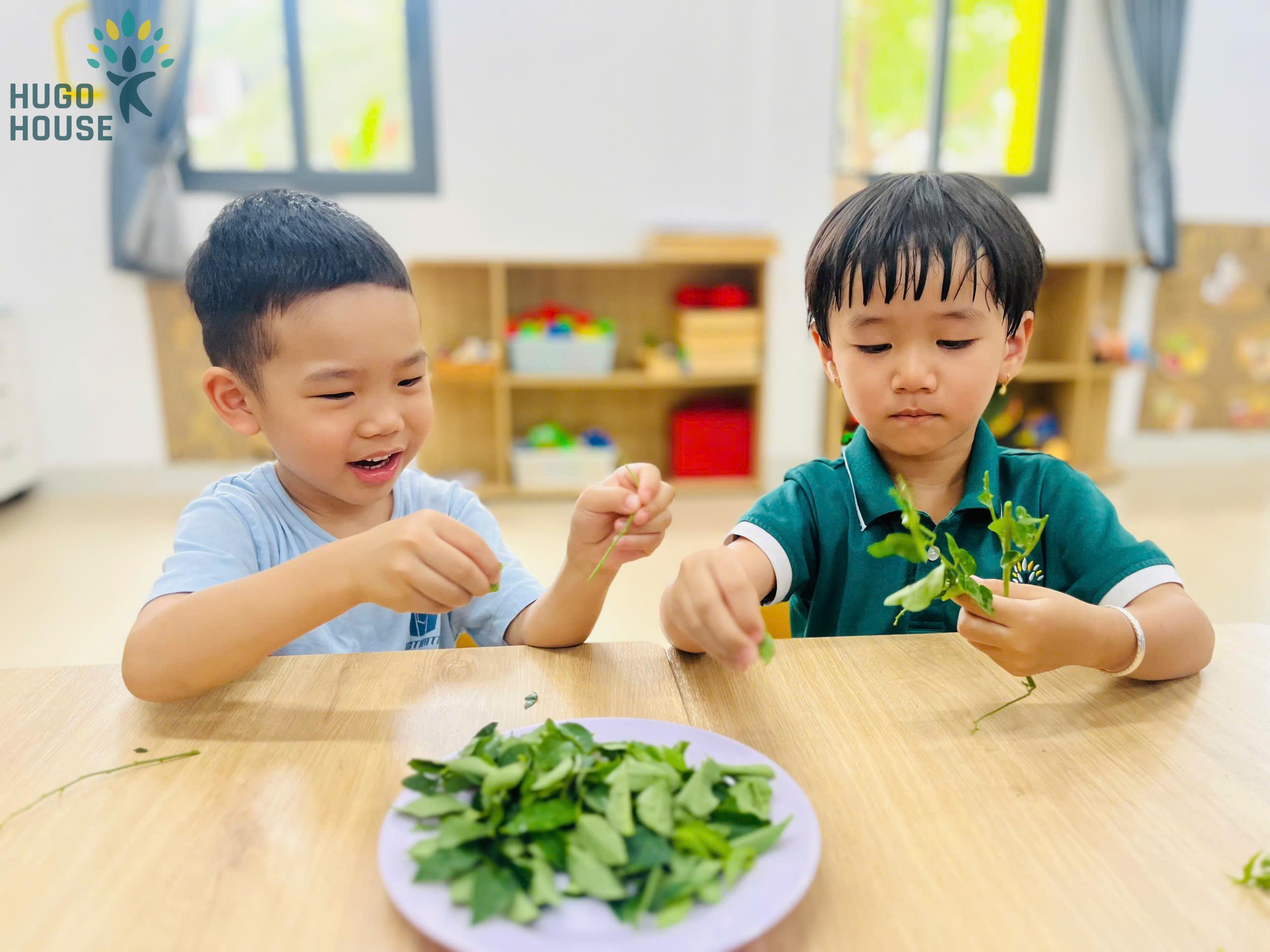 KHÁM PHÁ KỸ NĂNG NHẶT RAU - BÉ KHÉO TAY HỌC VUI