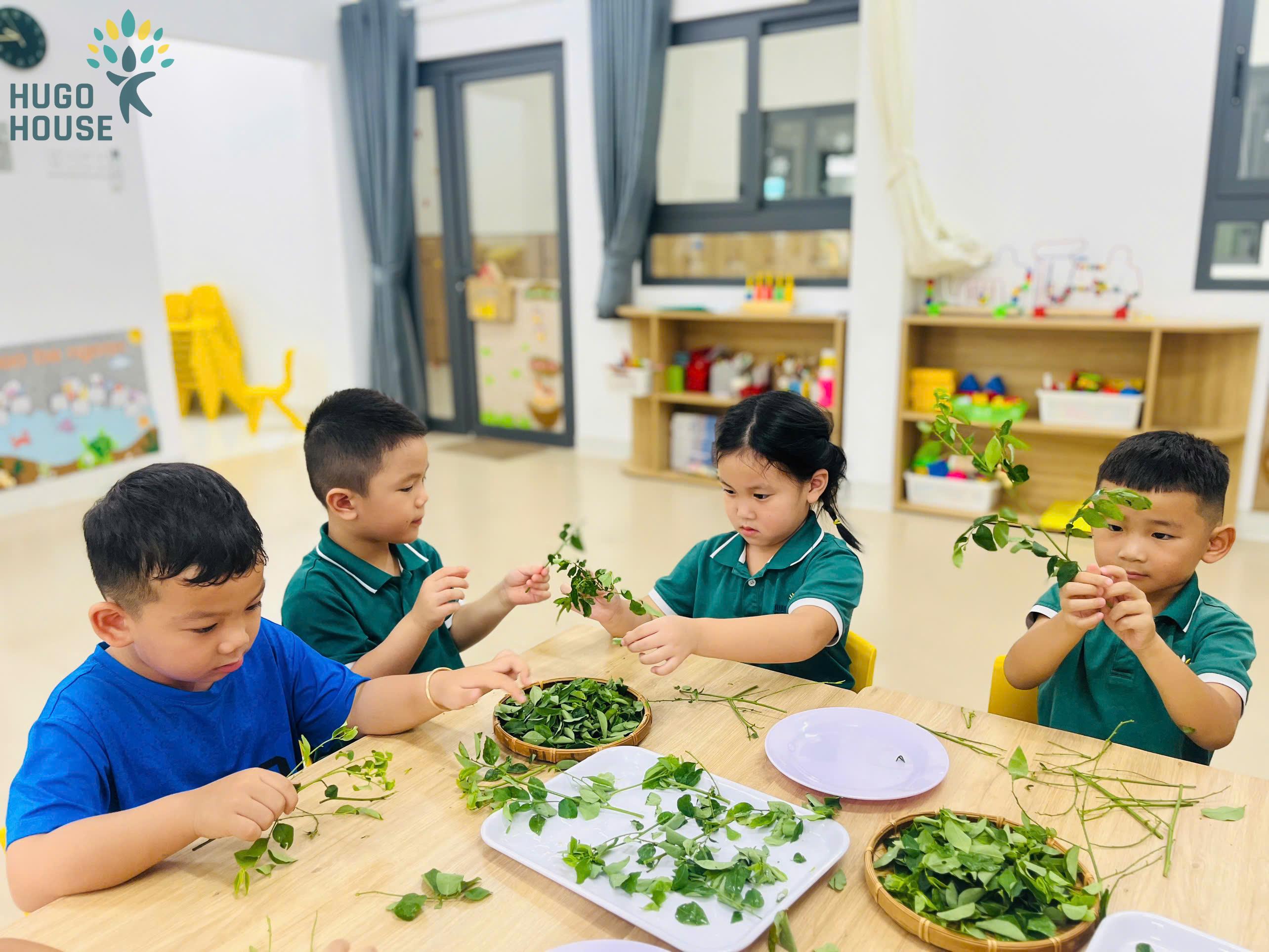 KHÁM PHÁ KỸ NĂNG NHẶT RAU - BÉ KHÉO TAY HỌC VUI