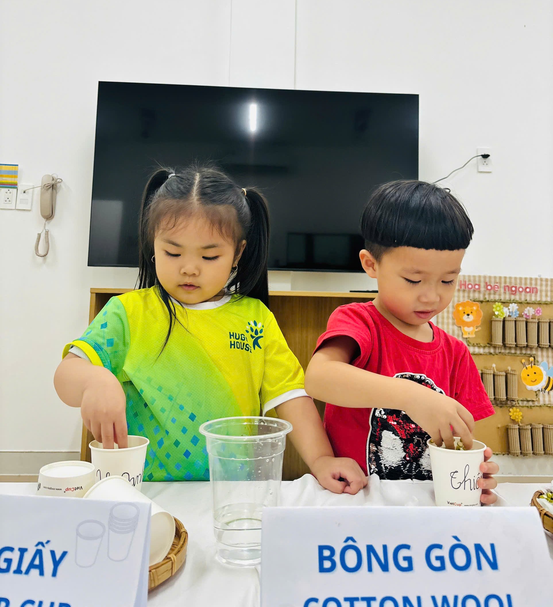 KHÁM PHÁ TỰ NHIÊN – BÉ TỰ LÀM GIÁ ĐỖ TỪ ĐẬU XANH 