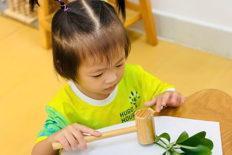 DẤU ẤN THIÊN NHIÊN - BÉ VẼ TRANH TỪ HOA VÀ LÁ