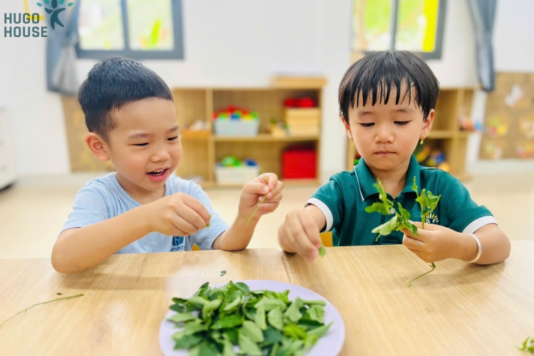 KHÁM PHÁ KỸ NĂNG NHẶT RAU - BÉ KHÉO TAY HỌC VUI